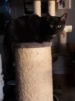 /album/20-10-2025/afbeelding-van-whatsapp-op-2025-10-18-om-08-51-15-a6594a64-jpg/